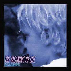 The Meaning of Life Instrumental