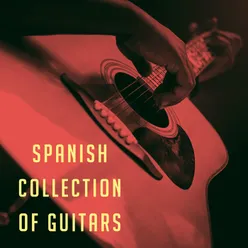 Spanish collection of guitars