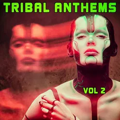 Tribal Anthems, Vol. 2
