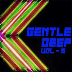 Gentle Deep, Vol. 3 - Deep House &amp; Disco Sounds