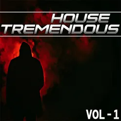 House Tremendous, Vol. 1 - Selected House Music for You