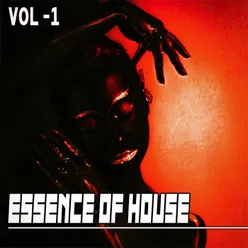 Essence of House, 1 - House &amp; Deep House Collected