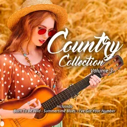 Country Collection Vol. 3