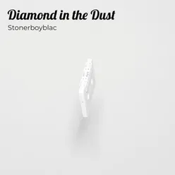 Diamond in the Dust