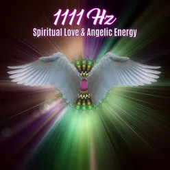 1111 Hz Love &amp; Miracles Angel Protection