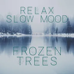 Relax Slow Mood: Frozen Trees