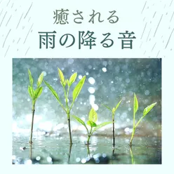 癒される雨の降る音: キャンプ場自然音, 梅雨の森林浴, 精神安定効果