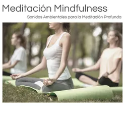 Meditación Profunda