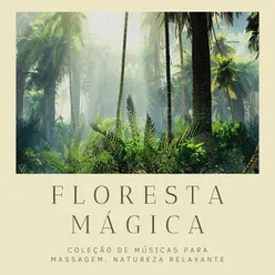 Floresta Mágica: Coleção de Músicas para Massagem, Natureza Relaxante