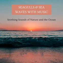 Gentle Ocean Wave Sounds