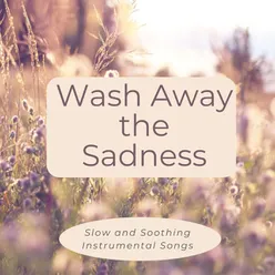 Wash Away the Sadness: Slow and Soothing Instrumental Songs