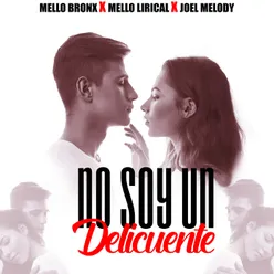 No Soy Un Delincuente