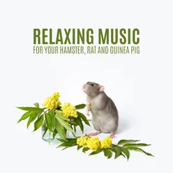 Relaxing Music for Your Hamster, Rat and Guinea Pig (Calm Your Pet with the Sounds of Nature &amp; Piano)