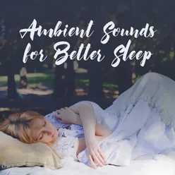 Ambient Sounds for Better Sleep (Open Your Ears to New Sounds and Feel Like in a Dreamland)