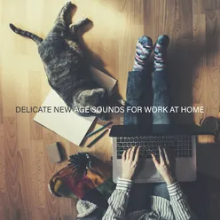 Delicate New Age Sounds for Work at Home (Stay Motivated with Me, Stress Relief, Find Peace)