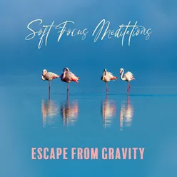 Soft Focus Meditations (Escape from Gravity, Meditation Moments, Aura Healing Tranquility, Eternal Energy Sunshine, Calm Sounds, Awakening &amp; Reflections, Silent Yoga &amp; Meditation)