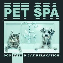 Pet Spa (Dog Bath &amp; Cat Relaxation, Wellness Time, Nature Sounds)