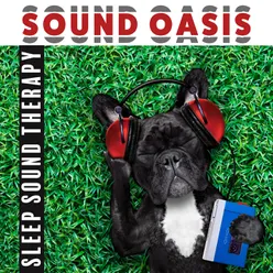 Sound Oasis (Sleep Sound Therapy, Deep Sleep, Meditation Evening, Night Relaxation)
