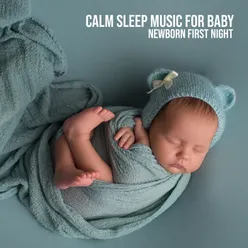 Calm Sleep Music for Baby (Newborn First Night with New Age Music)