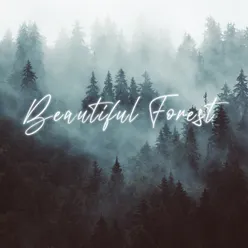 Beautiful Forest - Green Forest Sounds, Fantastic Time, Imagination Booster