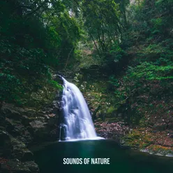 Sounds of Nature - Green Power - Healing Music- Mind Relaxation