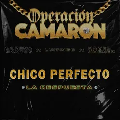 Chico Perfecto La Repuesta