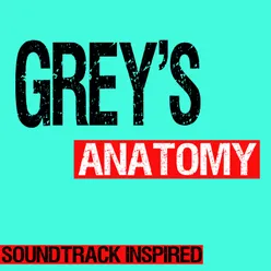 Grey's Anatomy Soundtrack (Inspired)