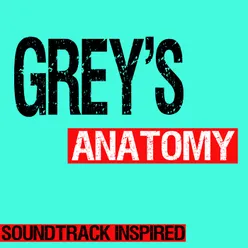Cosy in the Rocket (Theme From "Grey's Anatomy")