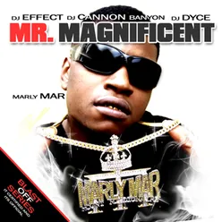 Mr. Magnificent