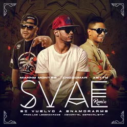 Svae (Remix) [feat. Manny Montes &amp; Zetty]