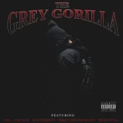 Grey Gorilla