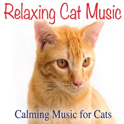 Relaxing Cat Music: Calming Music for Cats