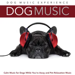 Calm Music for Dogs