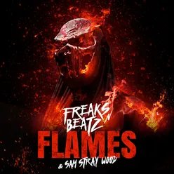 Flames (Radio Dub Mix)
