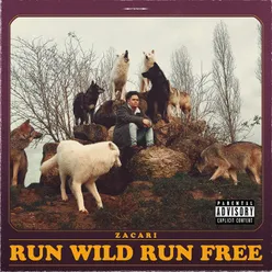 Run Wild Run Free