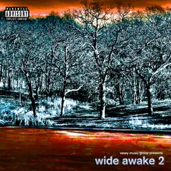 Wide Awake 2