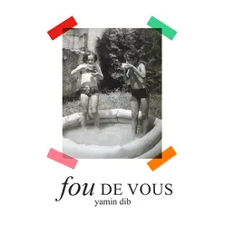 Fou de vous