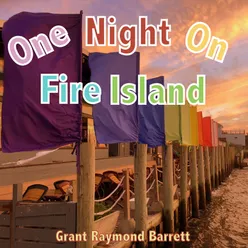 One Night on Fire Island