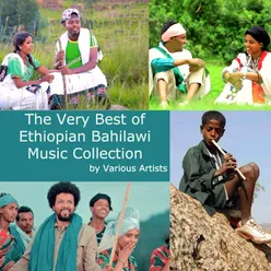 Gondar Mettema Qwara Tewodros II Abba Gudie