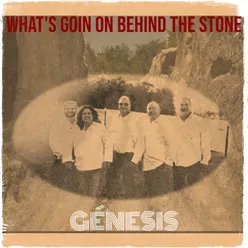 What's Goin on Behind the Stone