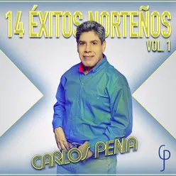 14 Éxitos Norteños, Vol. 1