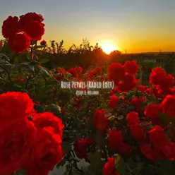 Rose Petals (Radio Edit)