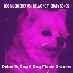 Dog Music Dreams : Relaxing Therapy Songs