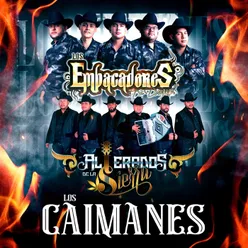 Los Caimanes