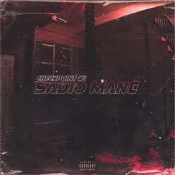 Sadio Mané (Checkpoint #1)