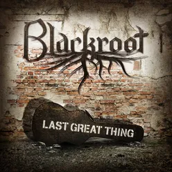Blackroot