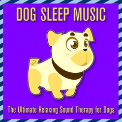 Dog Sleep Music: The Ultimate Relaxing Sound Therapy for Dogs