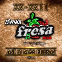 XX - XXII "Así O Más Fresas", Vol. 1