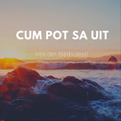 Cum Pot Sa Uit