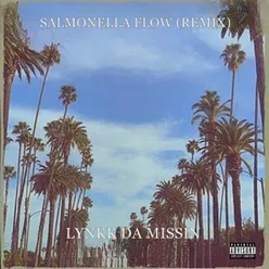 Salmonella Flow (Remix)